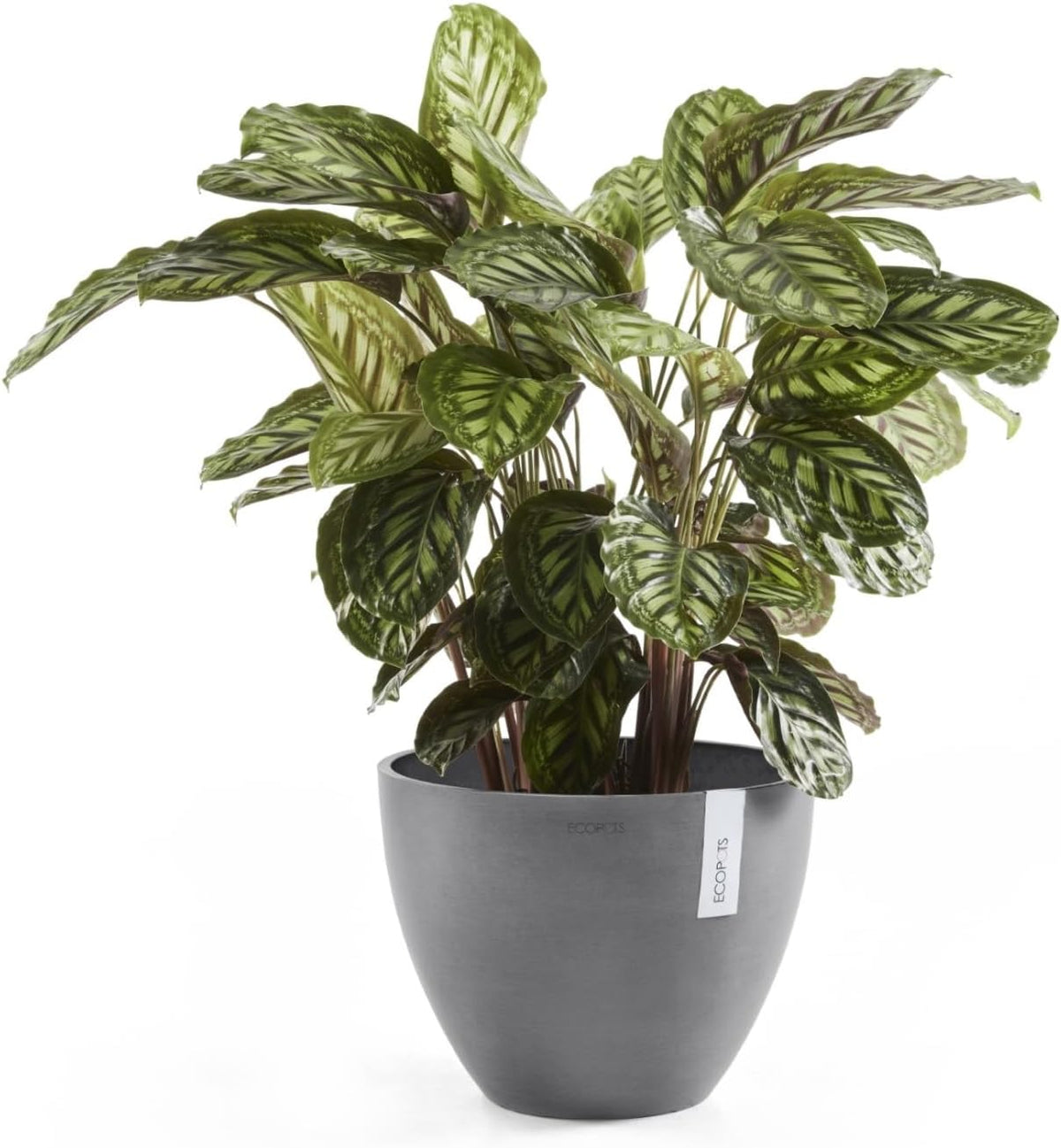 Antwerp Round Tapered Flower Planter, White Grey, 16"
