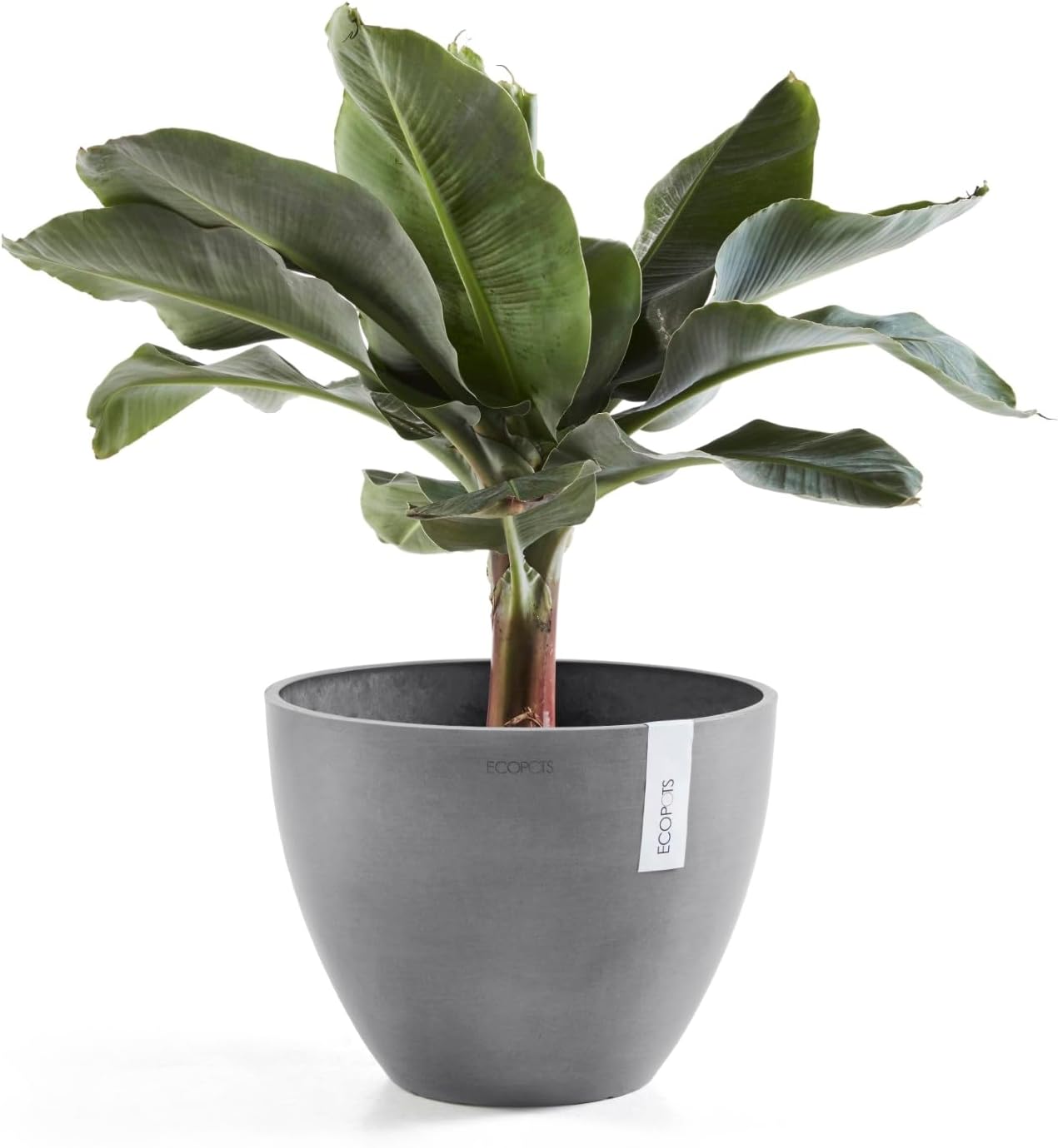 Antwerp Round Tapered Flower Planter, White Grey, 16"