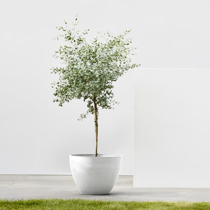 Antwerp Round Tapered Flower Planter, White Grey, 16"