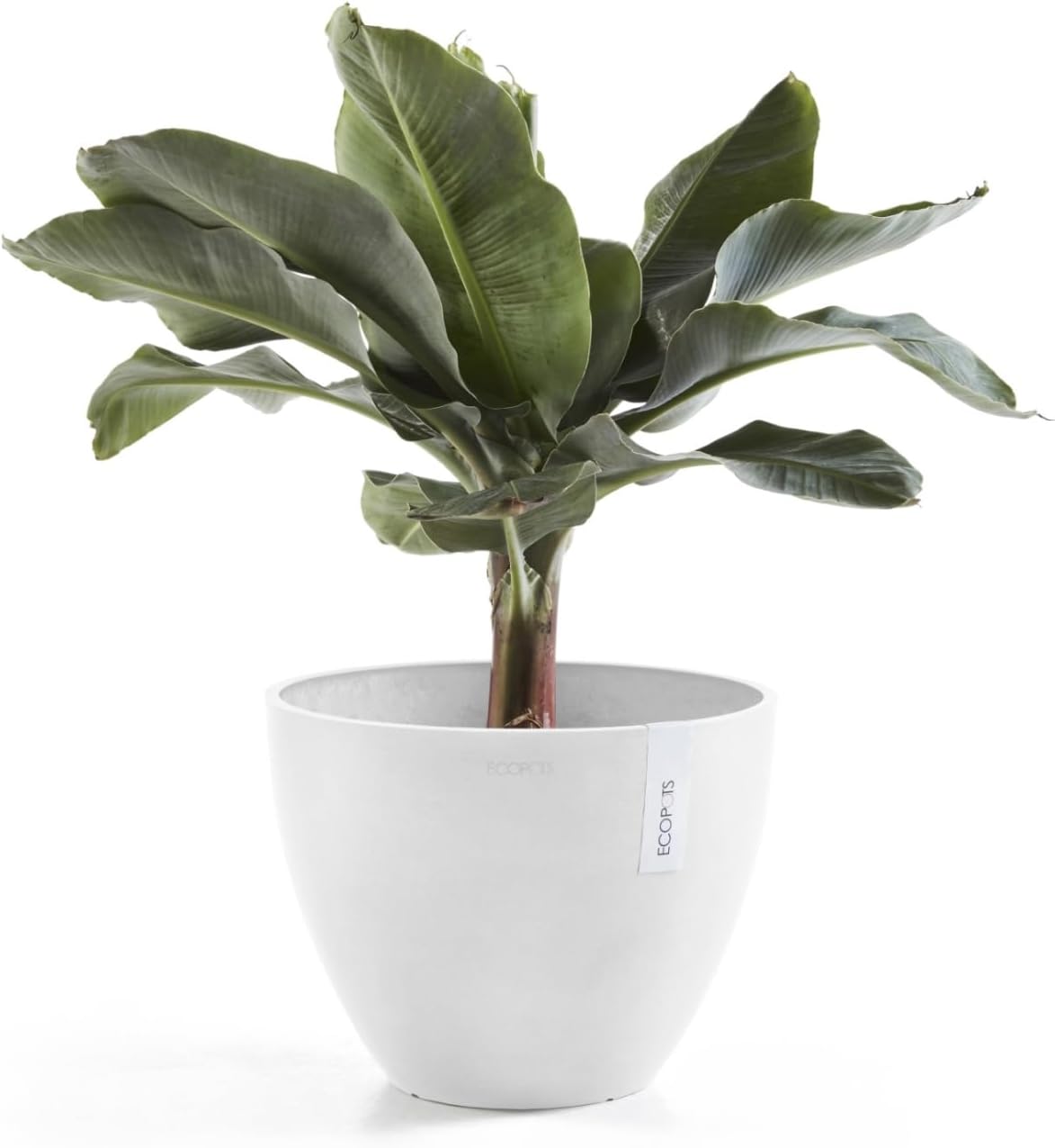 Antwerp Round Tapered Flower Planter, White Grey, 16"