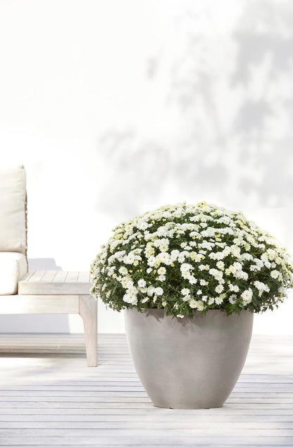 Antwerp Round Tapered Flower Planter, White Grey, 16"