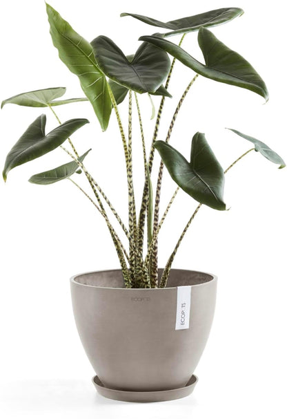 Antwerp Round Tapered Flower Planter, White Grey, 16"