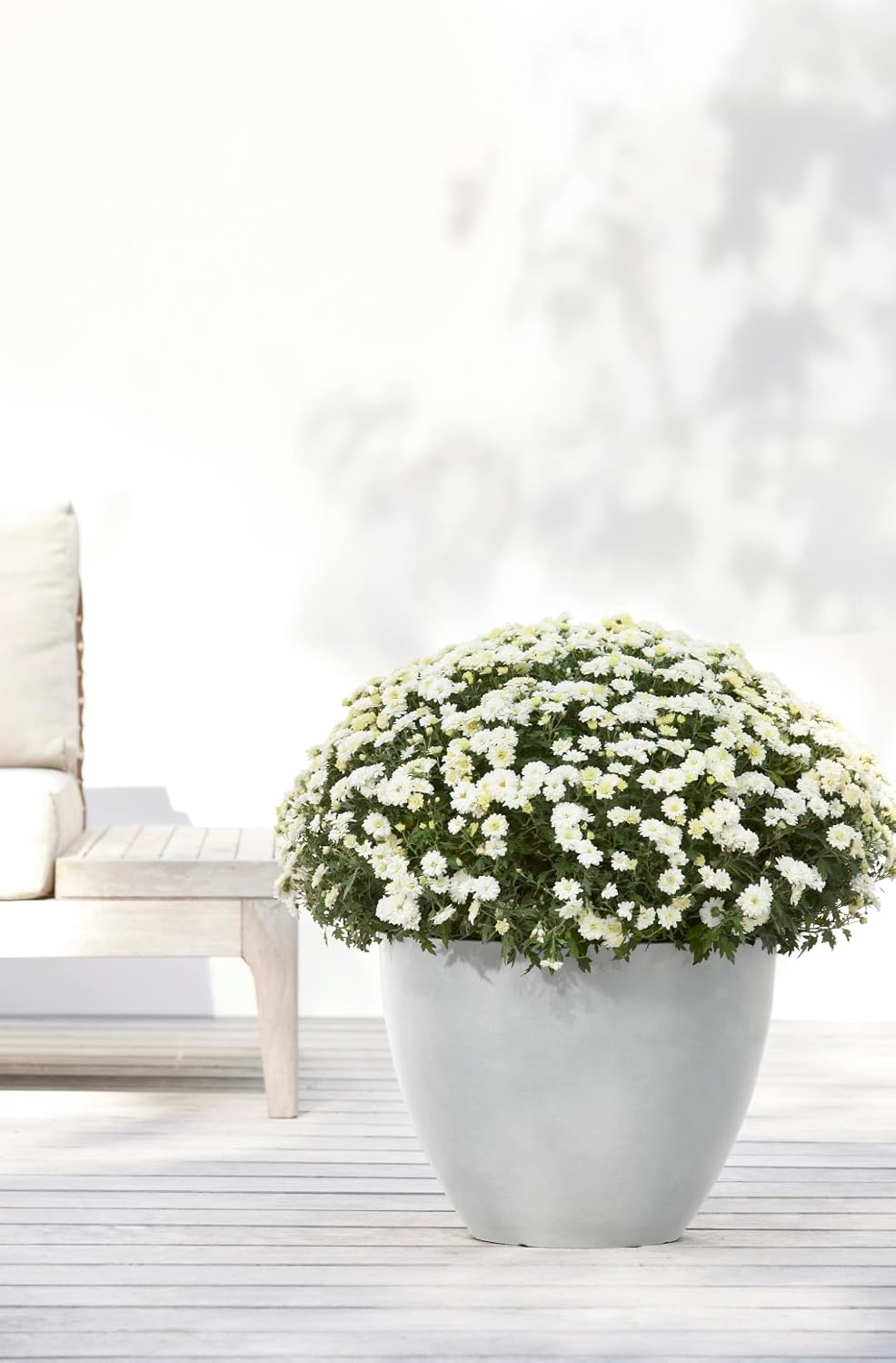 Antwerp Round Tapered Flower Planter, White Grey, 16"