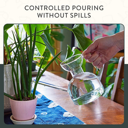 Glass Watering Can - 32 oz - Long Spout Modern Decor (Clear)