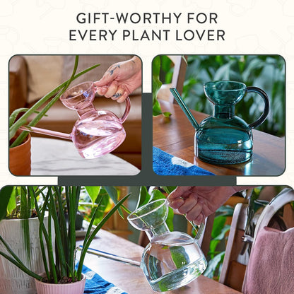 Glass Watering Can - 32 oz - Long Spout Modern Decor (Clear)