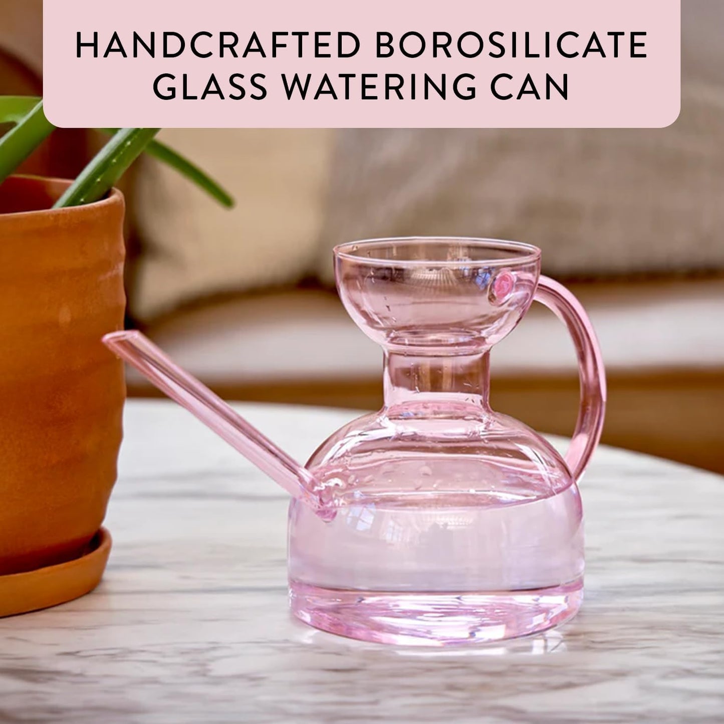 Glass Watering Can - 32 oz - Long Spout Modern Decor (Clear)