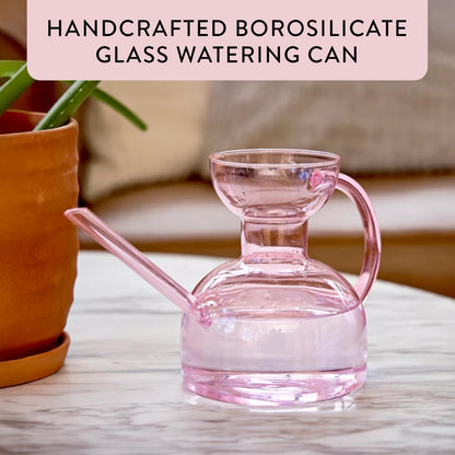 Glass Watering Can - 32 oz - Long Spout Modern Decor (Clear)