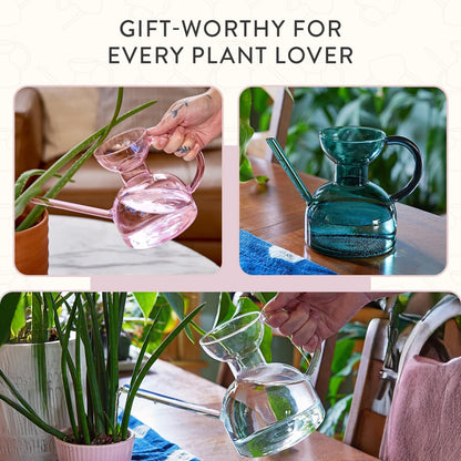 Glass Watering Can - 32 oz - Long Spout Modern Decor (Clear)