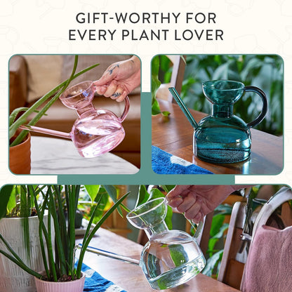 Glass Watering Can - 32 oz - Long Spout Modern Decor (Clear)
