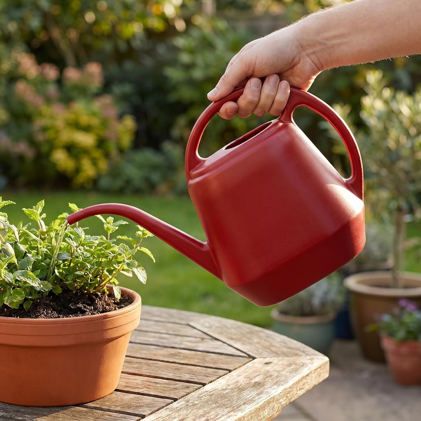 Plastic Watering Can, Burnt Red, 1-Gallon