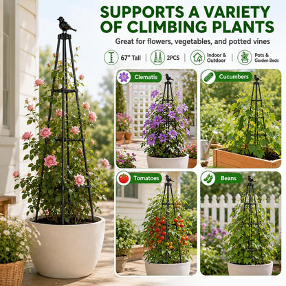 Garden Obelisk Trellis for Climbing Plants Outdoor 67" Black 2PCS