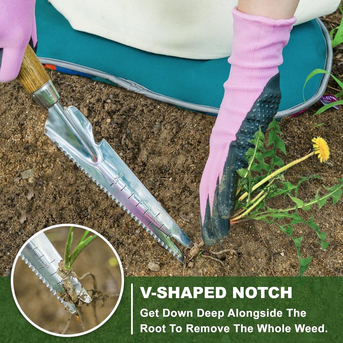 Multi-Use Weed Trowel, Stainless Steel Dandelion Fork Puller