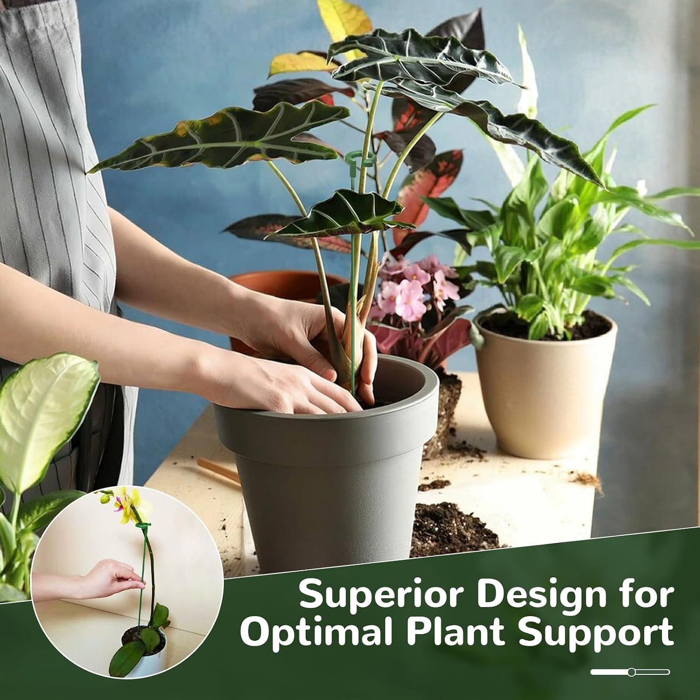 15-Pack Small Plant Stakes with Movable Clips, Adjustable Orchid Stakes and Clips in 3 Heights for Potted Plants, Bulb Flowers and Light-Duty Single Stem Support