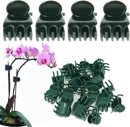Plant Clips Orchid Clips Plants Orchid Support Clips 30Pcs Flower Vine Clips for Supporting Stems Vines Stalks Climbing Plant Grow Upright (Green, 0.6x0.86in)