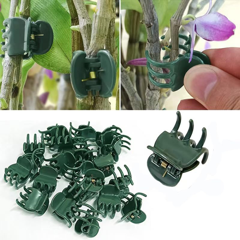 Plant Clips Orchid Clips Plants Orchid Support Clips 30Pcs Flower Vine Clips for Supporting Stems Vines Stalks Climbing Plant Grow Upright (Green, 0.6x0.86in)