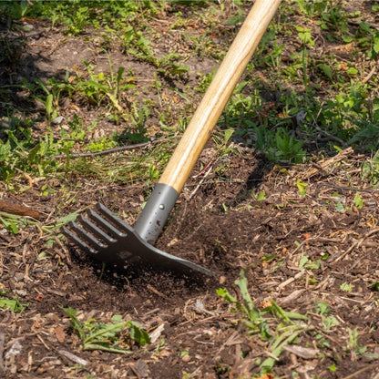 Steel Rake Hoe with Wood Handle, 5 Wide Tines, Multi-Purpose Tool for Gardening, Planting, and Fire Prevention, Commercial Grade