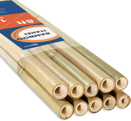 COLOtime Bamboo Stakes 4FT Garden Stakes Plant Stakes for Indoor and Outdoor Climbing Plants Poles Sticks Support Tomatoes Eggplants Beans 25 Pack