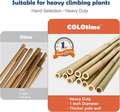 COLOtime Bamboo Stakes 4FT Garden Stakes Plant Stakes for Indoor and Outdoor Climbing Plants Poles Sticks Support Tomatoes Eggplants Beans 25 Pack