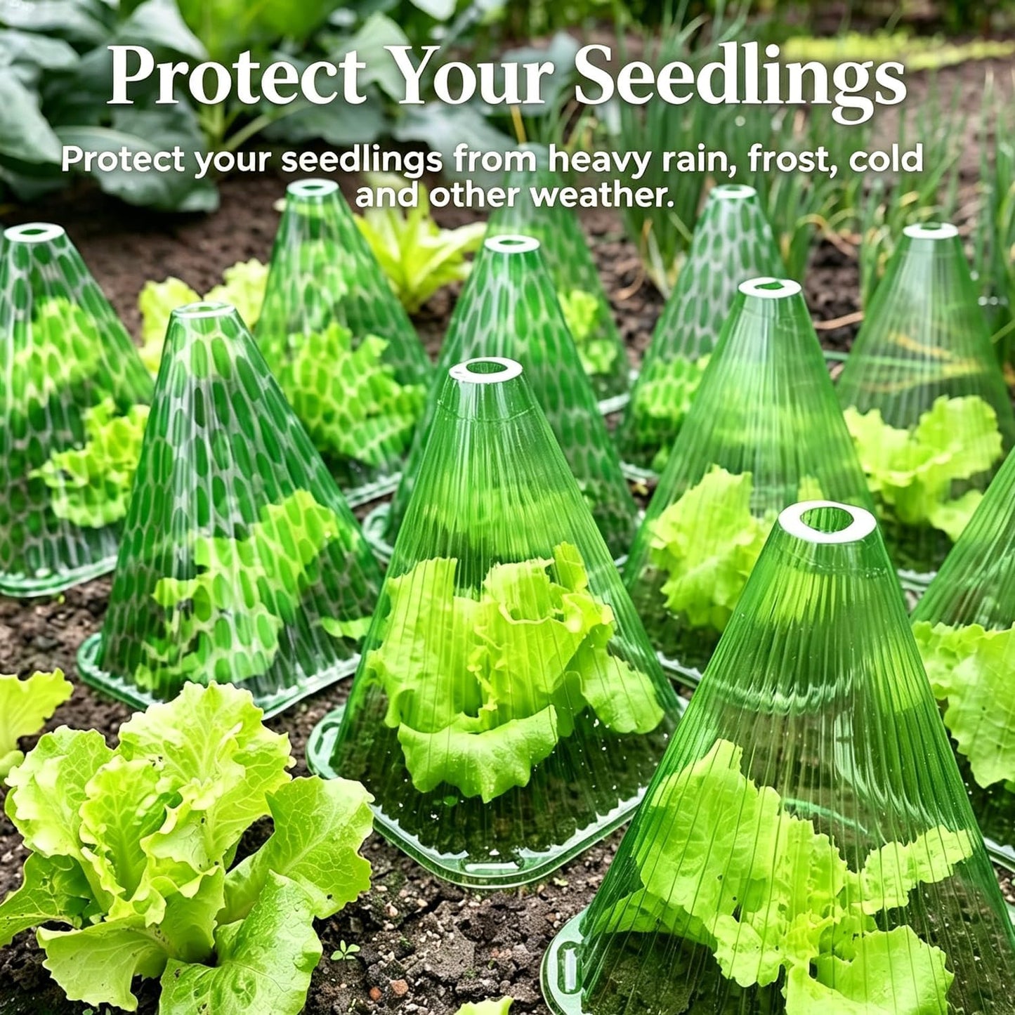 Garden Cloches,20 Pack Reusable Plant Bell Cover,Bell Jar Cloches for Protection Against Sun, Frost, Snails Etc. (Dark Green)