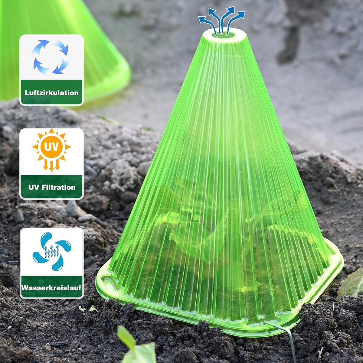 Garden Cloches,20 Pack Reusable Plant Bell Cover,Bell Jar Cloches for Protection Against Sun, Frost, Snails Etc. (Dark Green)