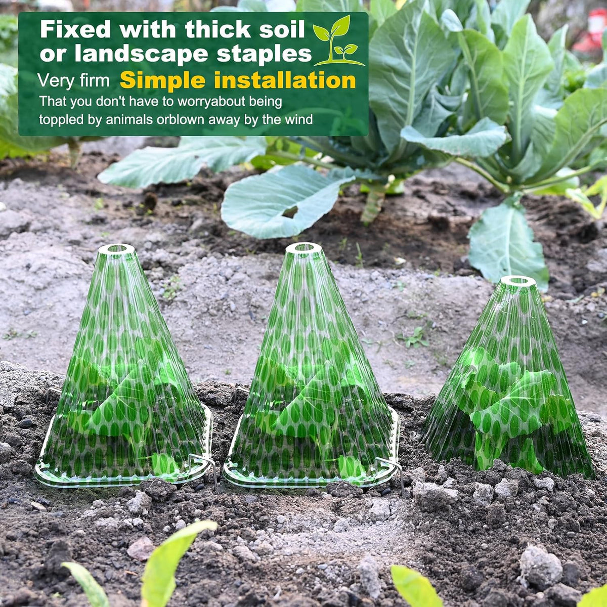 Garden Cloches,20 Pack Reusable Plant Bell Cover,Bell Jar Cloches for Protection Against Sun, Frost, Snails Etc. (Dark Green)