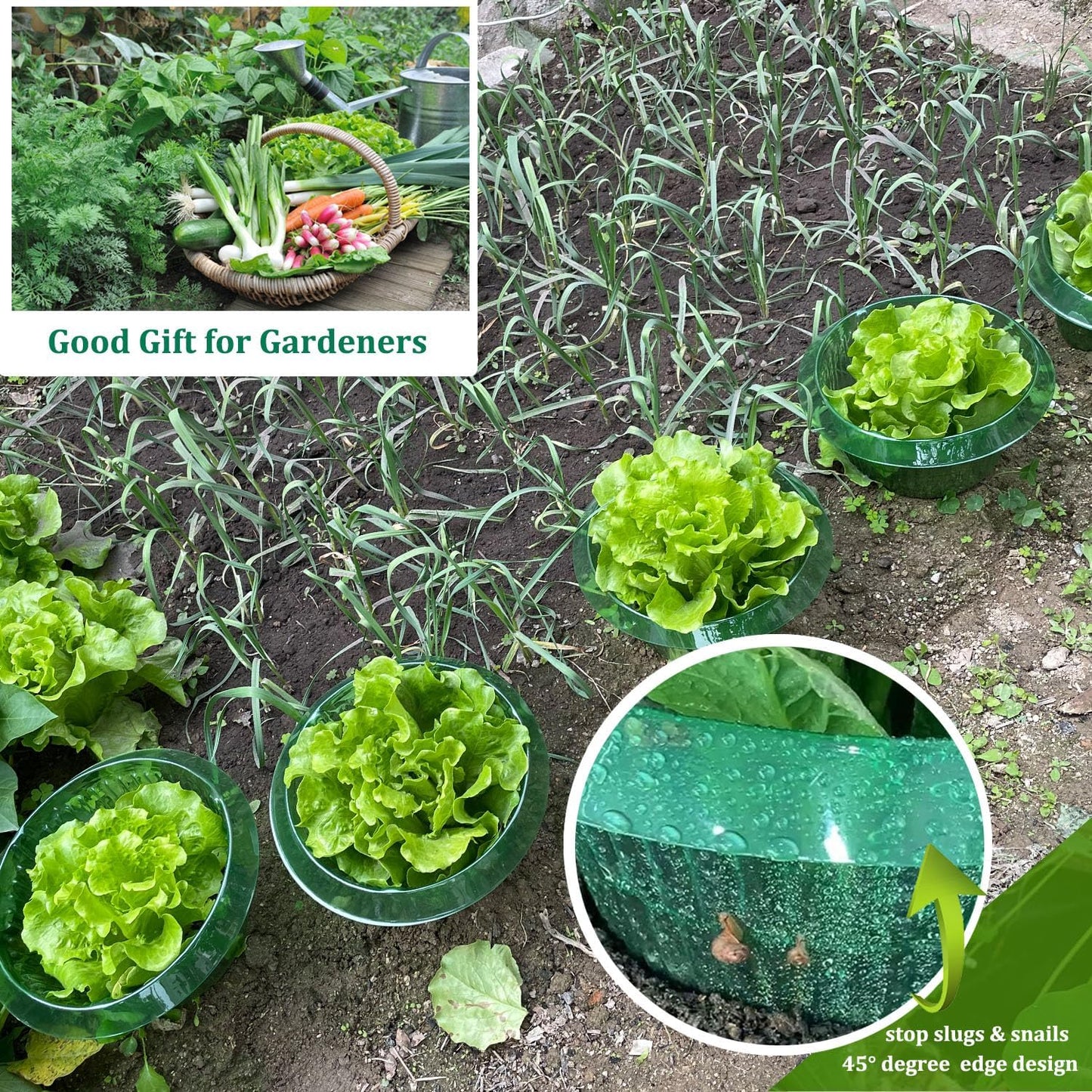 Garden Cloches,20 Pack Reusable Plant Bell Cover,Bell Jar Cloches for Protection Against Sun, Frost, Snails Etc. (Dark Green)