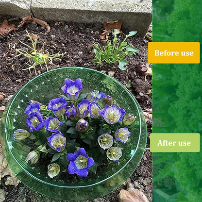 Garden Cloches,20 Pack Reusable Plant Bell Cover,Bell Jar Cloches for Protection Against Sun, Frost, Snails Etc. (Dark Green)