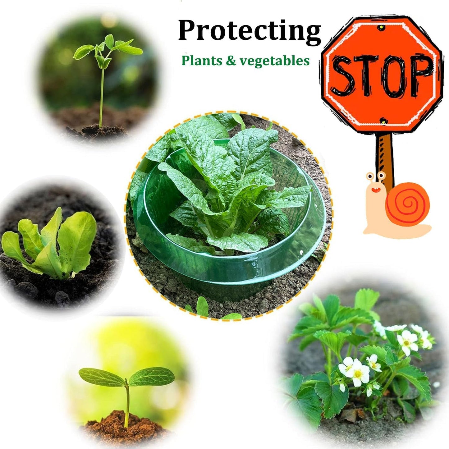 Garden Cloches,20 Pack Reusable Plant Bell Cover,Bell Jar Cloches for Protection Against Sun, Frost, Snails Etc. (Dark Green)