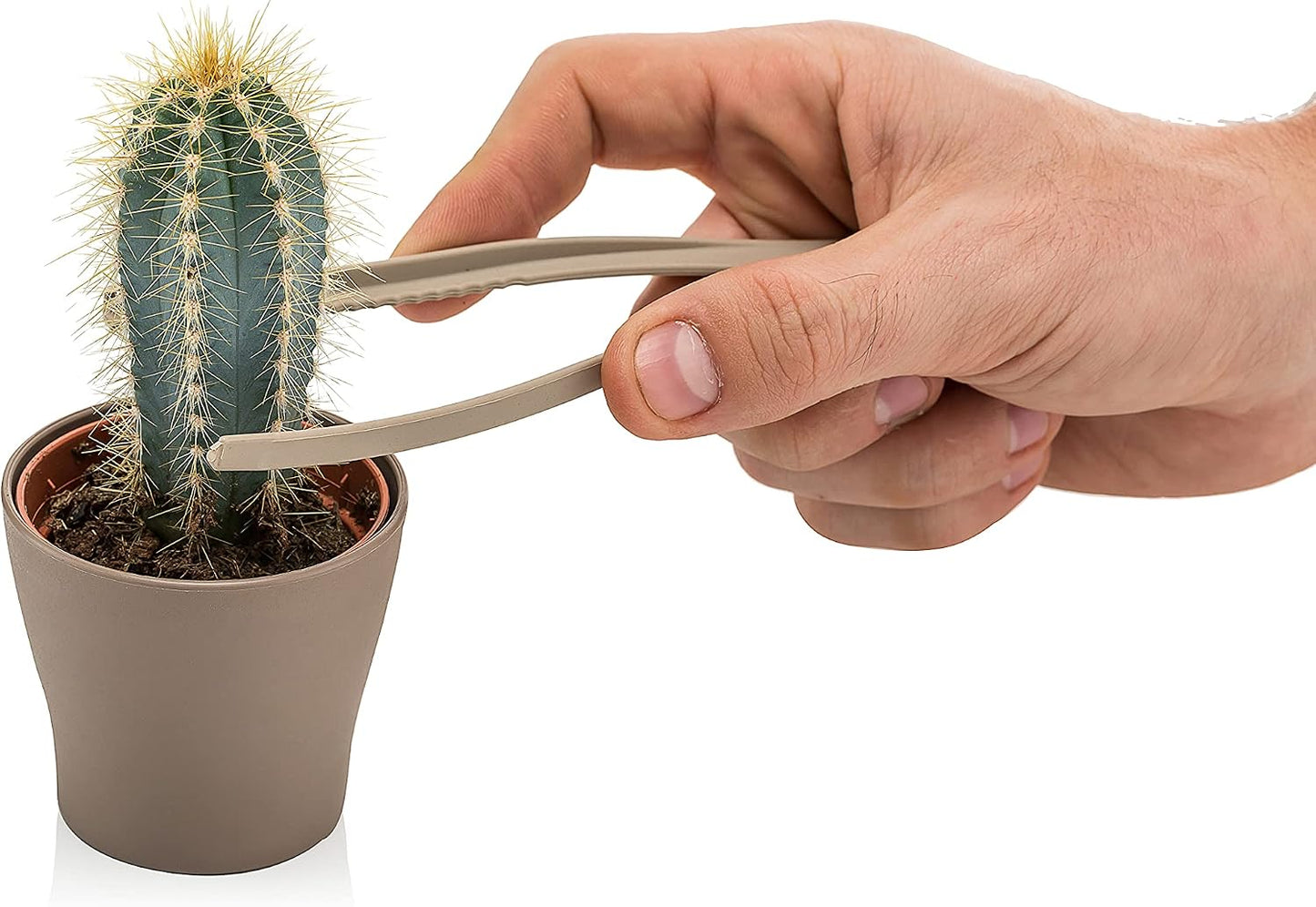 Mini Garden Hand Transplanting Succulent Cacti Cactus Tools Miniature Planting, Set for Fairy Garden, Potting, Houseplant, Bonsai Tools, Bonsai Kit, Shovel, Fork, Green