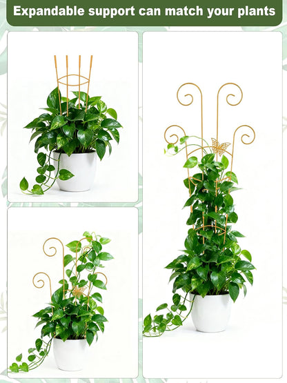 4 Pack Indoor Climbing Plant Trellis, Small Trellis for Potted Plants Outdoor, Metal Garden Trellis Plant Support Trellis with Different Patterns for Vine Ivy Flower (Golden)