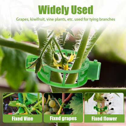 100 Pcs Secured Plastic Plant Clip Reusable Tomato Trellis Clips 2026 Upgrade Plant Fixing Clips for Climbing Plants (Green)
