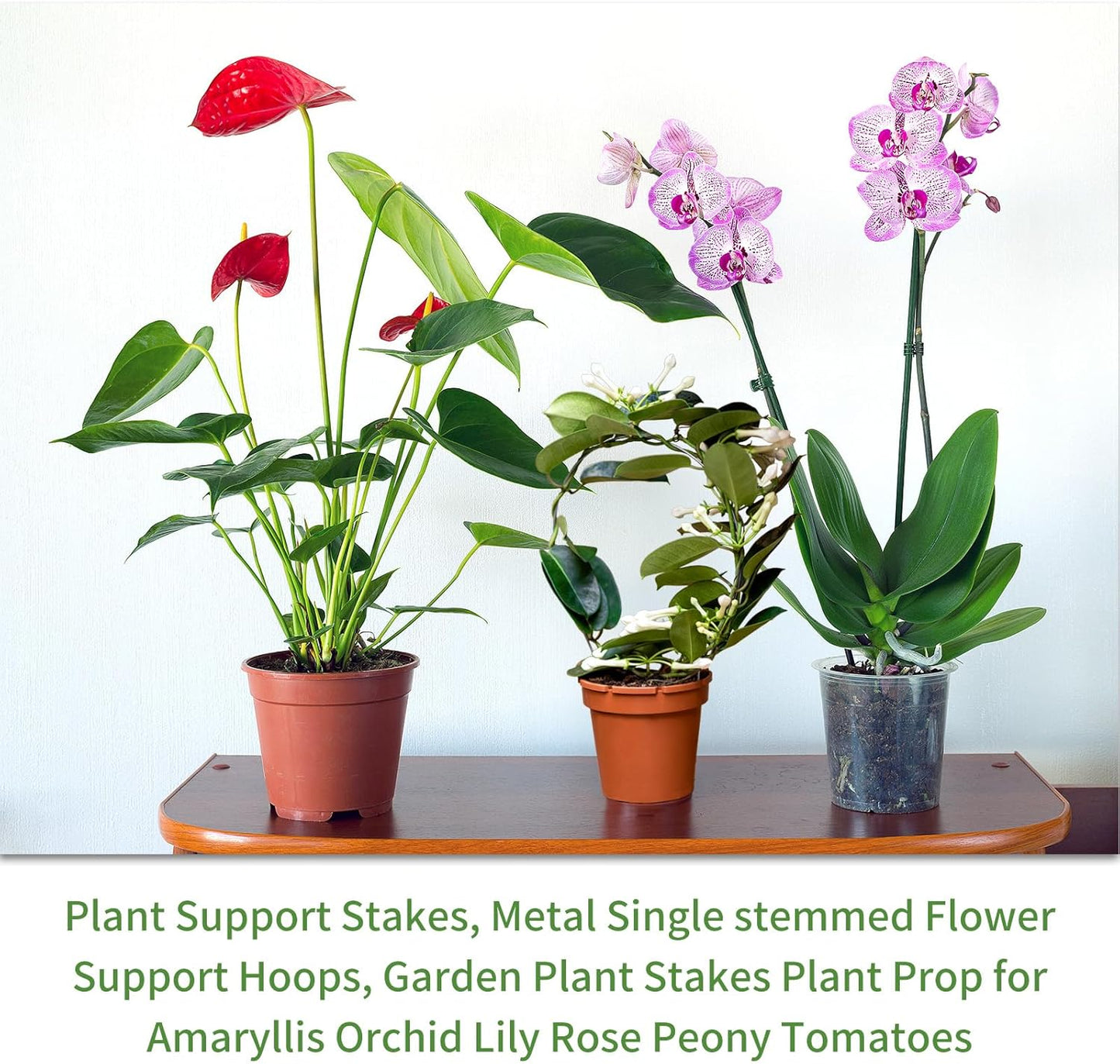Plant Support Stakes with 50 Plant Clips, 32ft Plant Sticks, 800 Ties Green