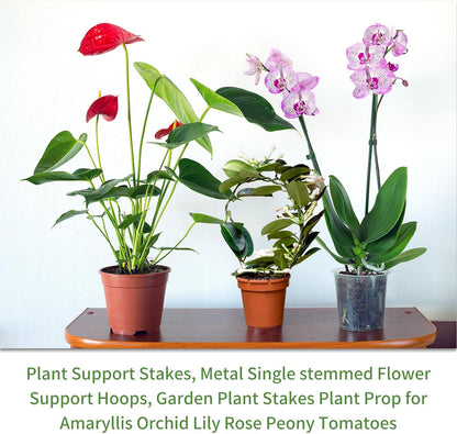 Plant Support Stakes with 50 Plant Clips, 32ft Plant Sticks, 800 Ties Green