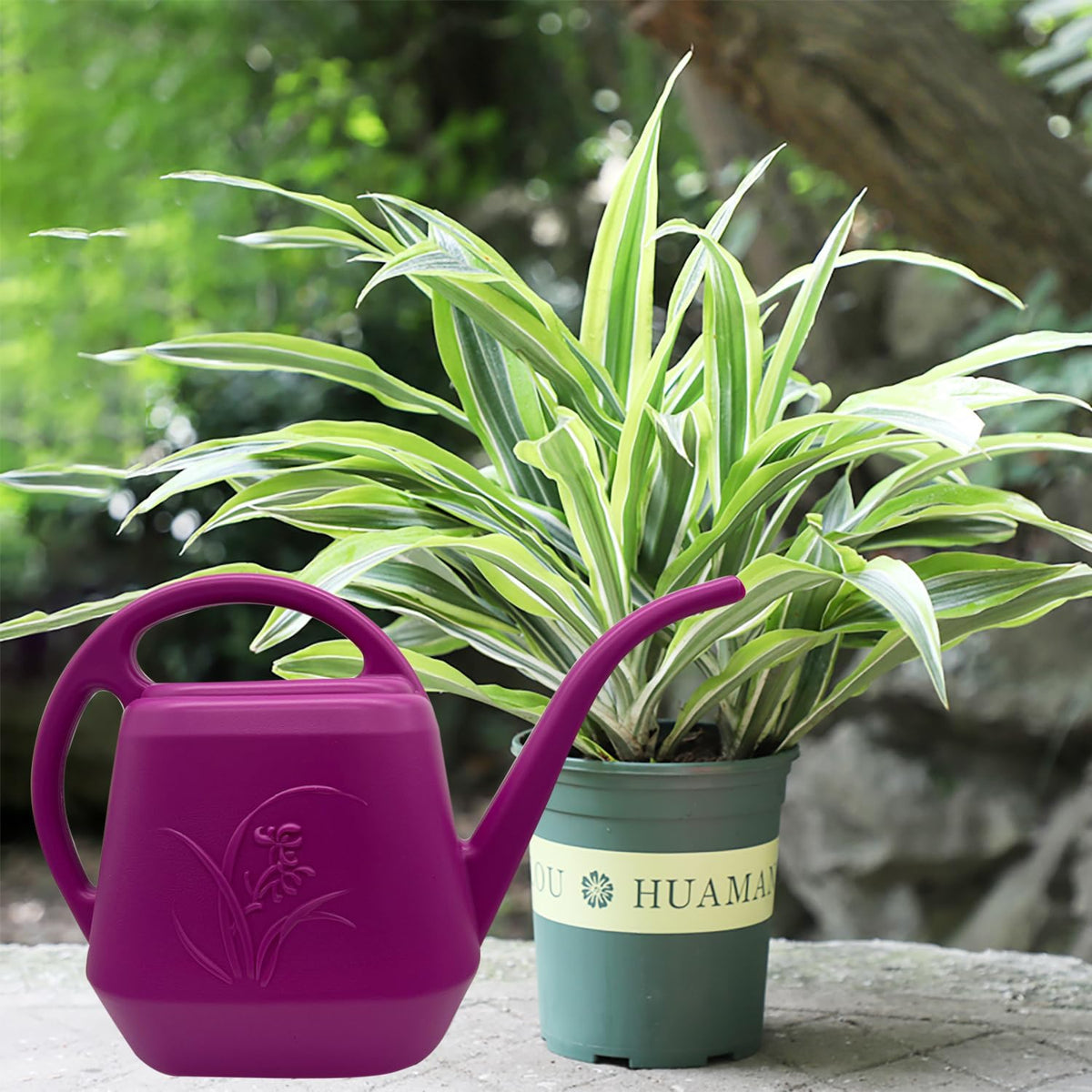 Plant Watering Can - 1 Gallon - Green - with Long Spout for Indoor and Outdoor Plant Garden