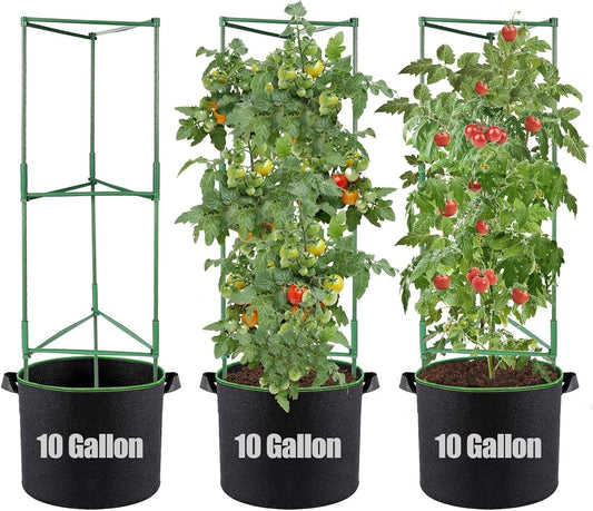 Sturdy Triangle Tomato Cage with Movable 10 Gal Grow Bags, 3 Sets