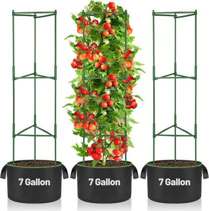 Sturdy Triangle Tomato Cage with Movable 10 Gal Grow Bags, 3 Sets