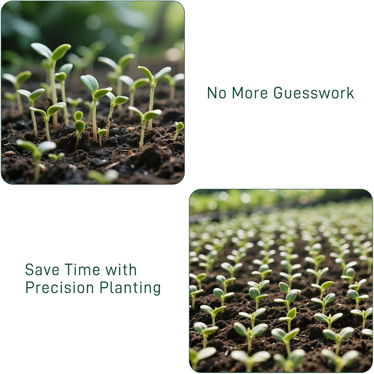 ABS Twelve Inch Seed Planter Tool Row Dibber Gardening Sower Matrix