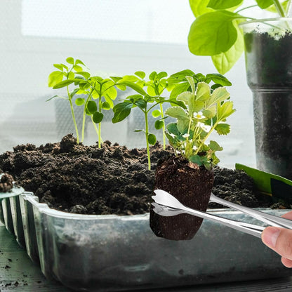 Seedling Transplant Tong, Stainless Steel Seed Starter Seedling Transplant Pliers Seedling Starters Tongs Seedling Transplanting Tool for Lowering Damage to Roots