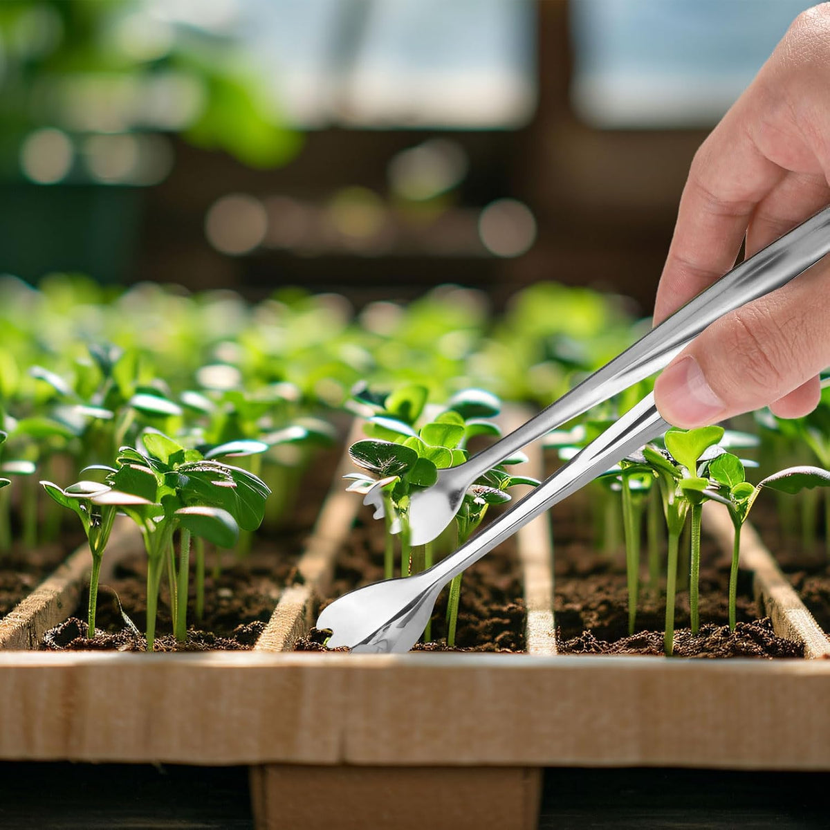 Seedling Transplant Tong, Stainless Steel Seed Starter Seedling Transplant Pliers Seedling Starters Tongs Seedling Transplanting Tool for Lowering Damage to Roots