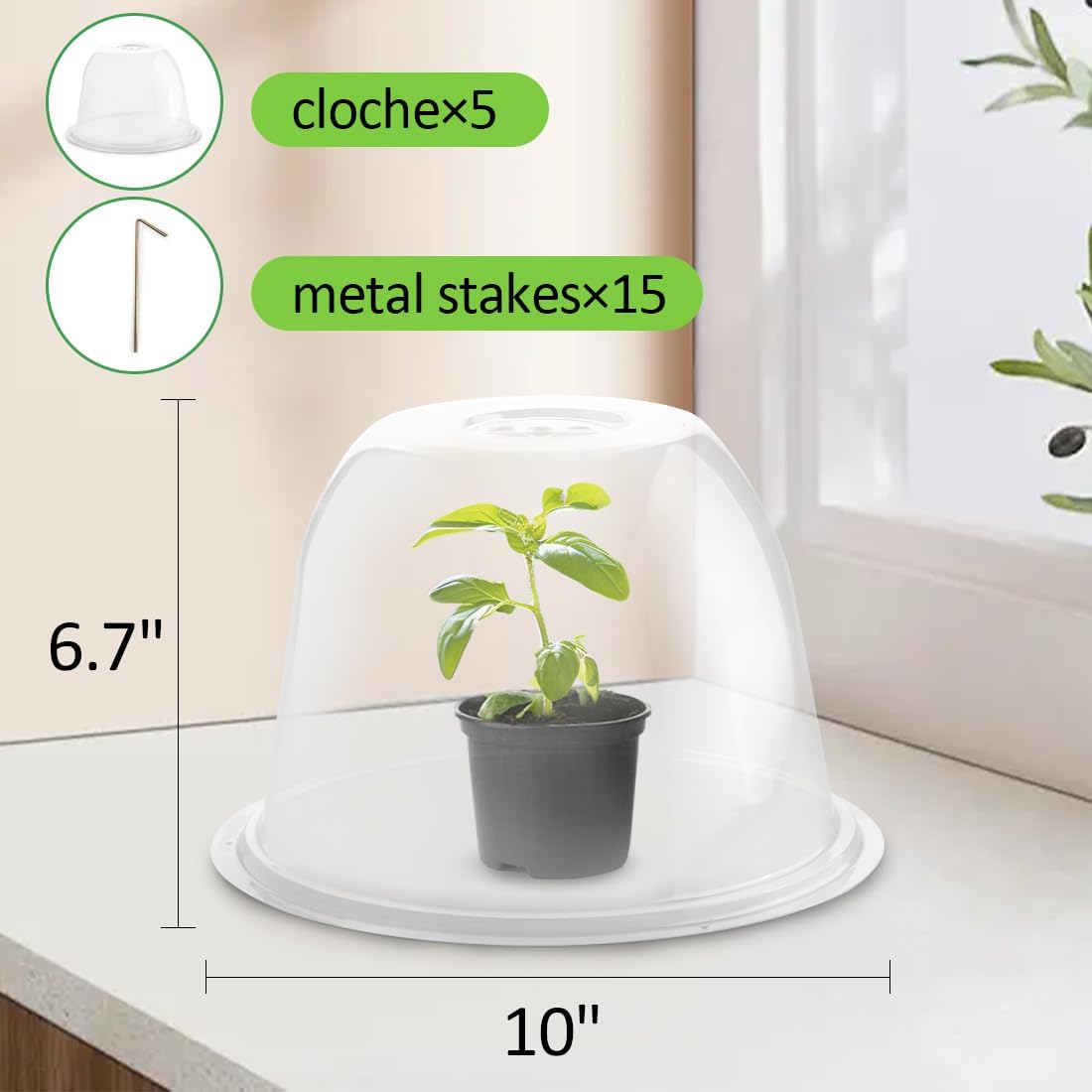 13 Inch Humidity Domes Garden Cloches for Plant Protection, Plant Covers Freeze Protection, Protectors from Animals, Garden Clear Plant Cover with Ventilation Holes 10 Pack