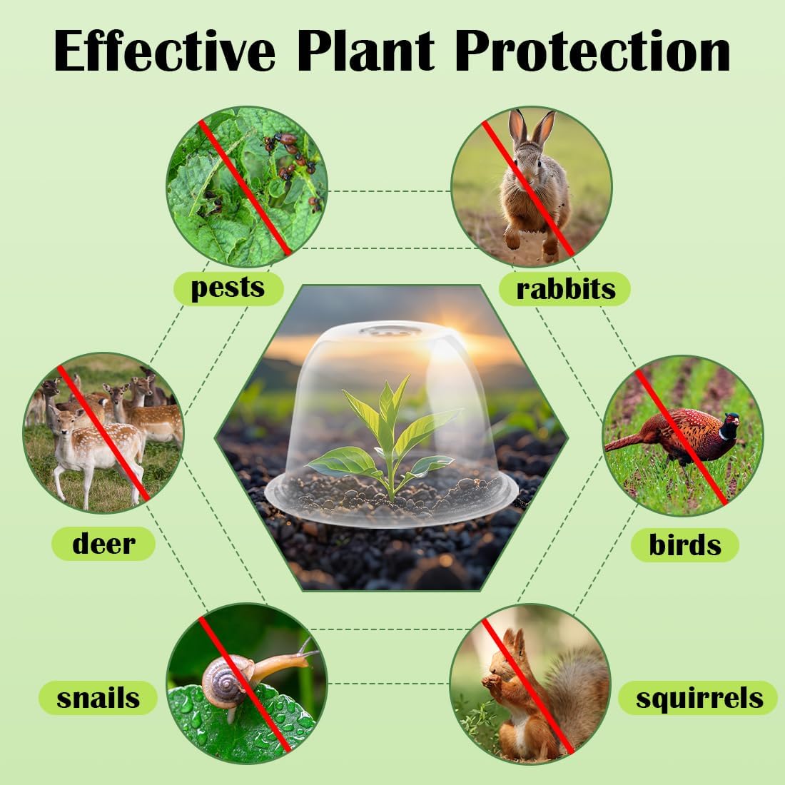 13 Inch Humidity Domes Garden Cloches for Plant Protection, Plant Covers Freeze Protection, Protectors from Animals, Garden Clear Plant Cover with Ventilation Holes 10 Pack