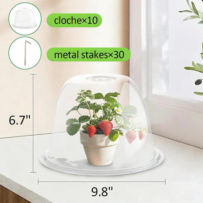 13 Inch Humidity Domes Garden Cloches for Plant Protection, Plant Covers Freeze Protection, Protectors from Animals, Garden Clear Plant Cover with Ventilation Holes 10 Pack