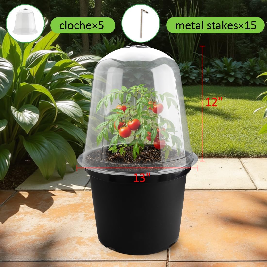 13 Inch Humidity Domes Garden Cloches for Plant Protection, Plant Covers Freeze Protection, Protectors from Animals, Garden Clear Plant Cover with Ventilation Holes 10 Pack
