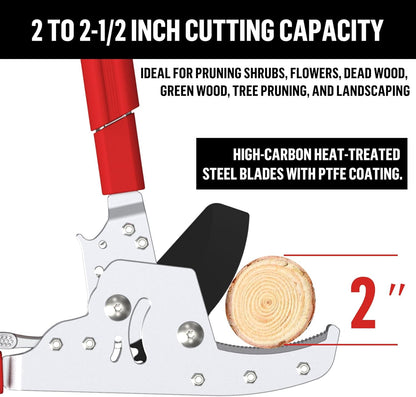 Heavy-Duty Extendable Loppers, 28"-41" Telescopic Tree Trimmer, Double Ratcheting Branch Cutter, Anvil Lopper for Thick Branches, Cuts 2" Dry Wood