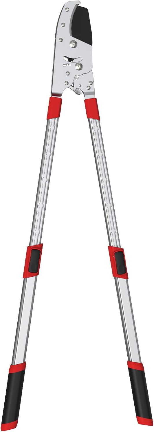 Heavy-Duty Extendable Loppers, 28"-41" Telescopic Tree Trimmer, Double Ratcheting Branch Cutter, Anvil Lopper for Thick Branches, Cuts 2" Dry Wood