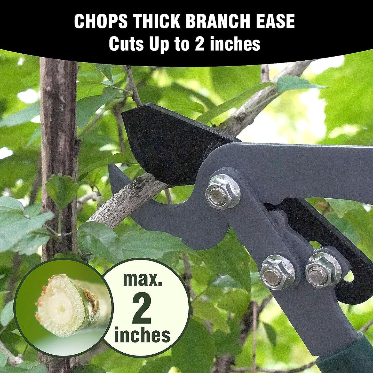 Heavy-Duty Extendable Loppers, 28"-41" Telescopic Tree Trimmer, Double Ratcheting Branch Cutter, Anvil Lopper for Thick Branches, Cuts 2" Dry Wood