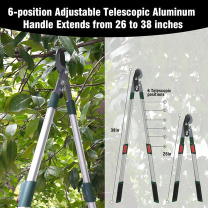Heavy-Duty Extendable Loppers, 28"-41" Telescopic Tree Trimmer, Double Ratcheting Branch Cutter, Anvil Lopper for Thick Branches, Cuts 2" Dry Wood