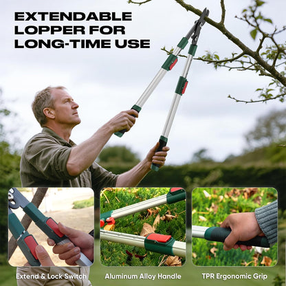 Heavy-Duty Extendable Loppers, 28"-41" Telescopic Tree Trimmer, Double Ratcheting Branch Cutter, Anvil Lopper for Thick Branches, Cuts 2" Dry Wood