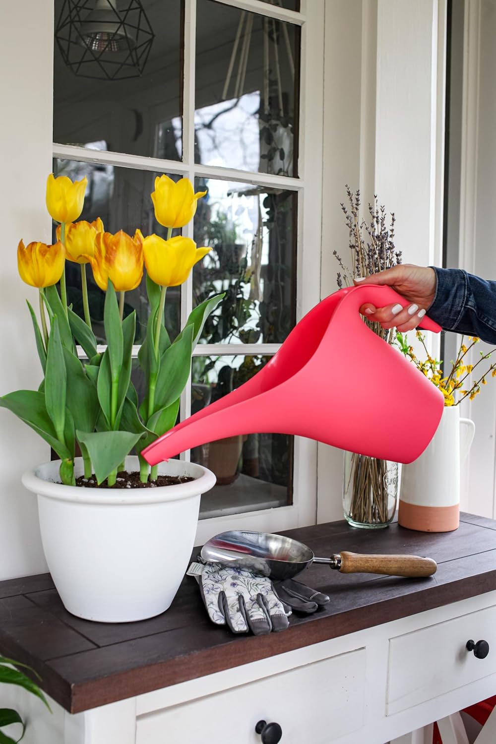 1/2 Gallon Essential Watering Can for Indoor Outdoor Plants, Watermelon (Pack of 2)