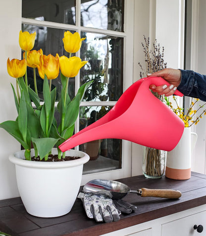 1/2 Gallon Essential Watering Can for Indoor Outdoor Plants, Watermelon (Pack of 2)